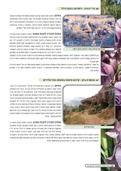 קובץ:Threats2010.pdf