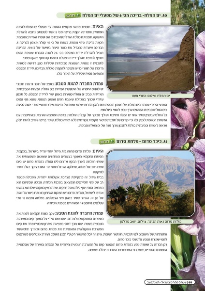 קובץ:Threats2010.pdf