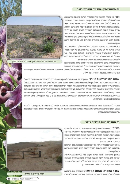 קובץ:Threats2010.pdf