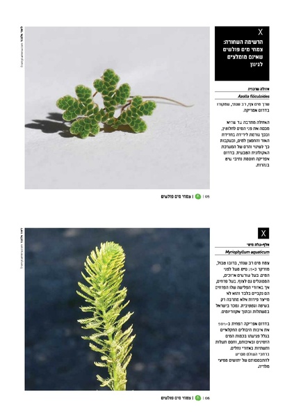 קובץ:TEV Water Plant x.pdf