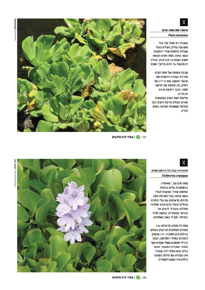 קובץ:TEV Water Plant x.pdf