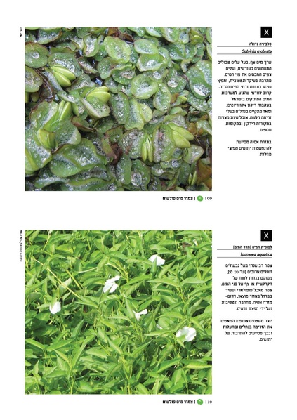 קובץ:TEV Water Plant x.pdf