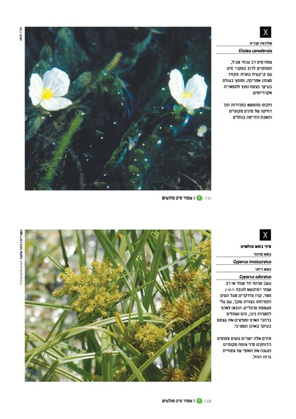 קובץ:TEV Water Plant x.pdf