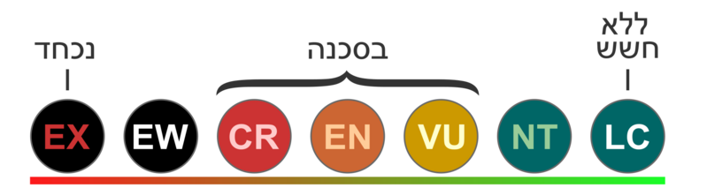 קובץ:סרגל מינים בסכנת הכחדה.png