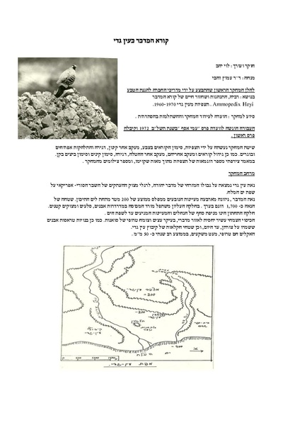 קובץ:Kore.pdf