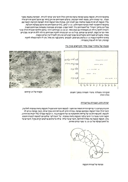 קובץ:Kore.pdf