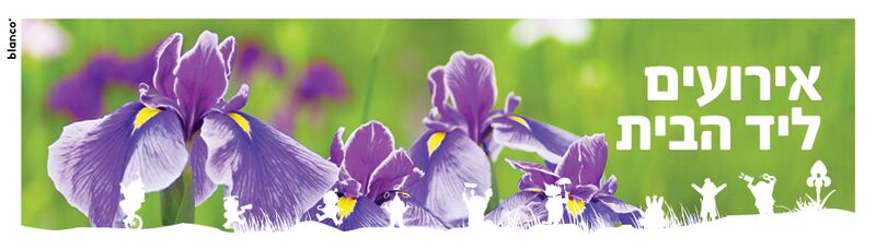 קובץ:Purim eruim.jpg