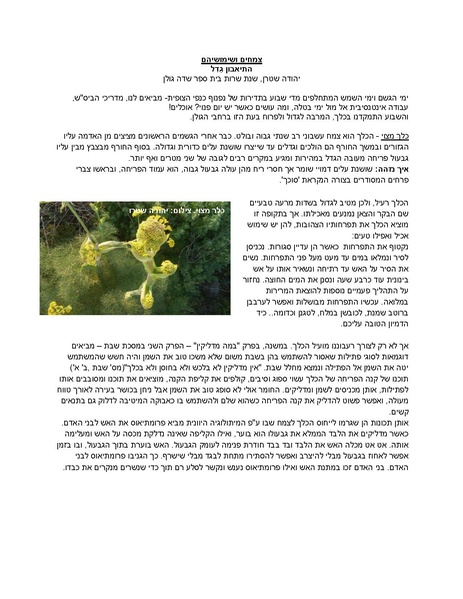 קובץ:Zmahim(1).pdf
