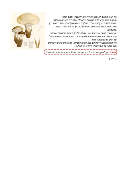 קובץ:Zmahim(1).pdf