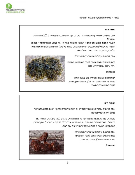 קובץ:Yesodi.pdf