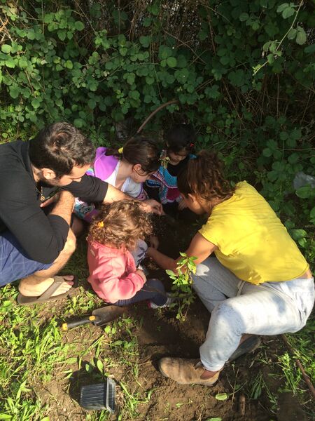 קובץ:Img 0968.jpg