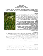 → לדף הקודם