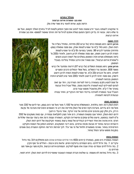 קובץ:Maslul(7).pdf
