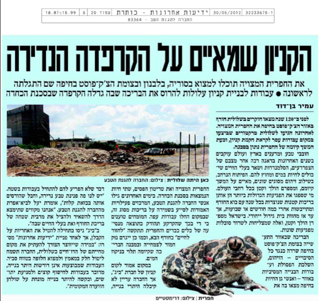 קובץ:Newspaper1(1).png