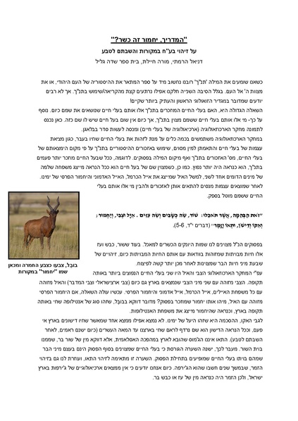 קובץ:Alon1(1).pdf