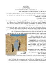 → לדף הקודם