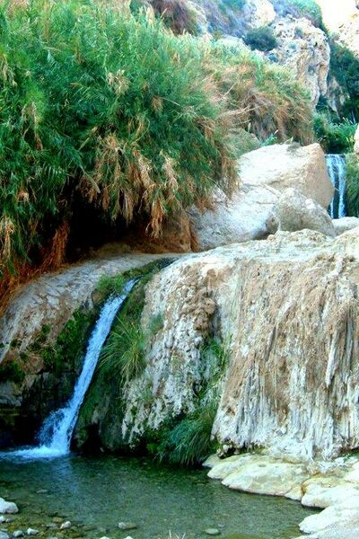 קובץ:Nahal david sivan.jpg