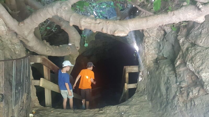 קובץ:Teomim cave osnat (2).jpg