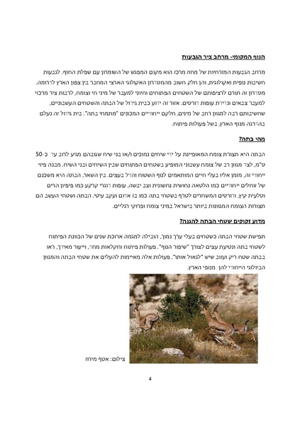 קובץ:Bata.pdf