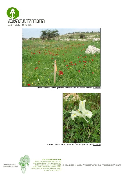 קובץ:Expertopinion.pdf