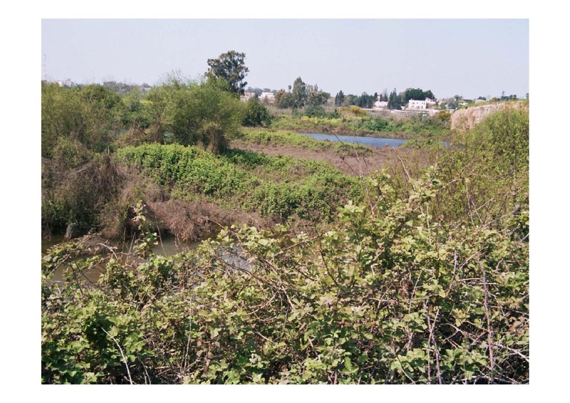 קובץ:PolegAlizaRapaport.pdf