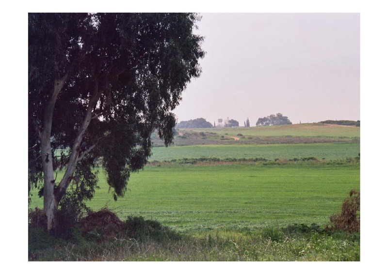 קובץ:PolegAlizaRapaport.pdf