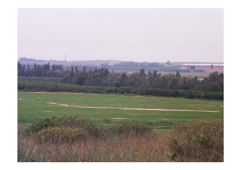 קובץ:PolegAlizaRapaport.pdf