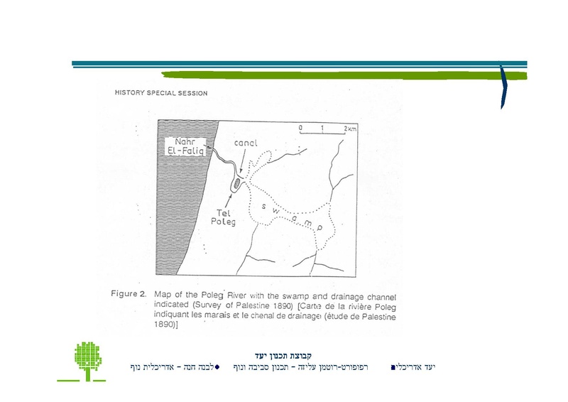 קובץ:PolegAlizaRapaport.pdf