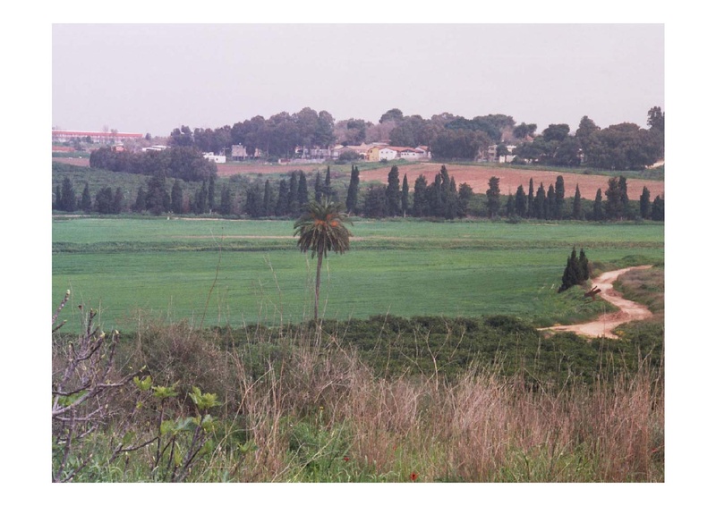 קובץ:PolegAlizaRapaport.pdf