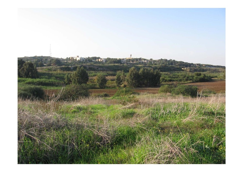 קובץ:PolegAlizaRapaport.pdf