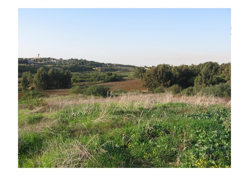 קובץ:PolegAlizaRapaport.pdf