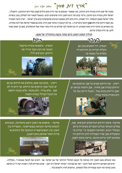 קובץ:Shemen.pdf