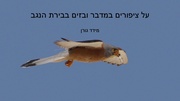→ לדף הקודם