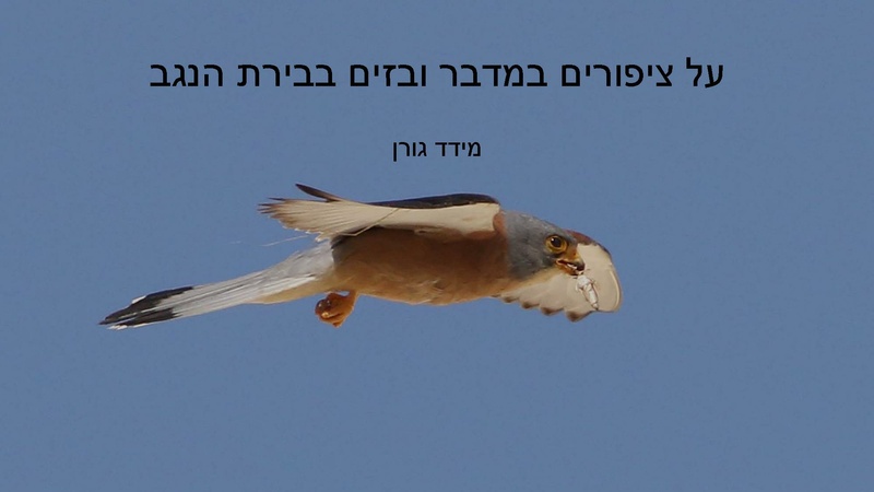 קובץ:Birdsnegevmeidad.pdf