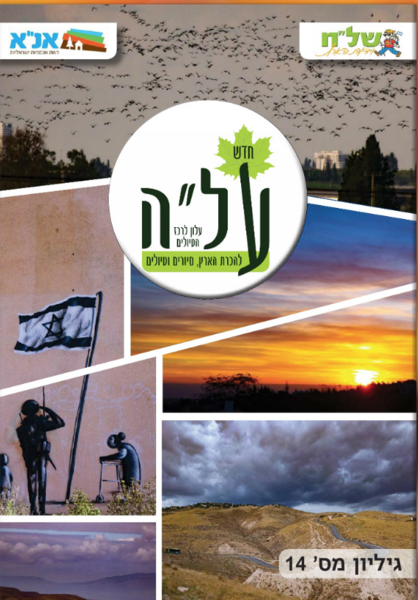 קובץ:עלה מספר 14.PNG