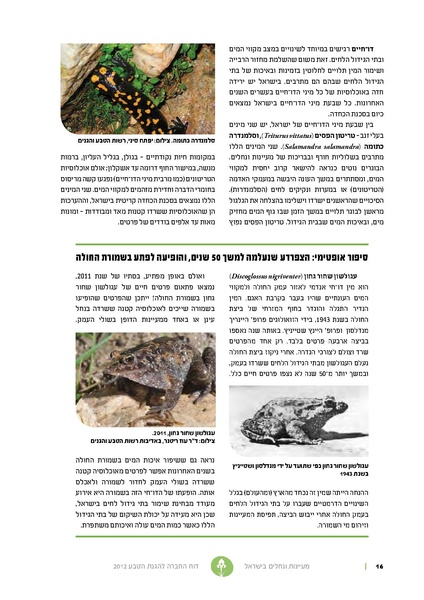 קובץ:Nechalim12.pdf