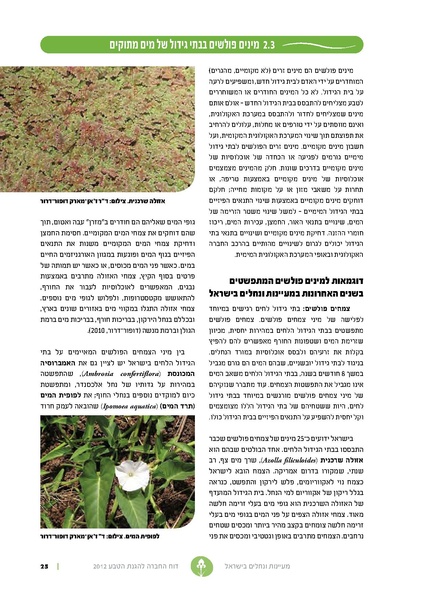 קובץ:Nechalim12.pdf