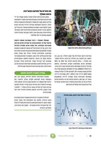קובץ:Nechalim12.pdf