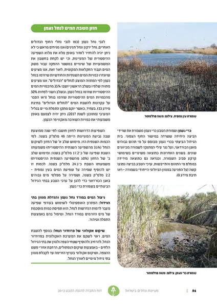 קובץ:Nechalim12.pdf