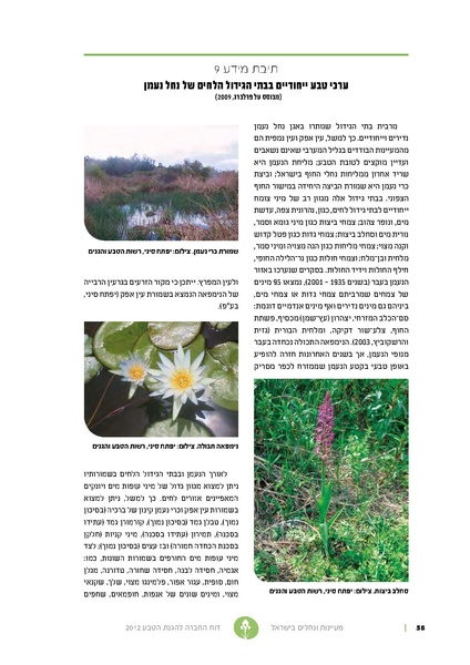 קובץ:Nechalim12.pdf