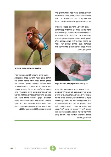 קובץ:Nechalim12.pdf