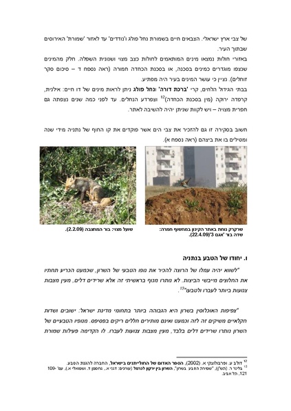 קובץ:Netanya.pdf