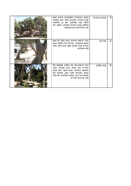 קובץ:Netanya.pdf