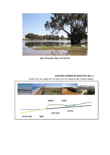 קובץ:Netanya.pdf