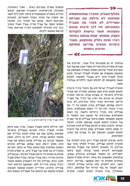 קובץ:Ale 13.pdf