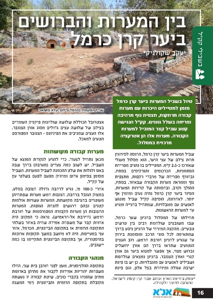 קובץ:Ale 13.pdf