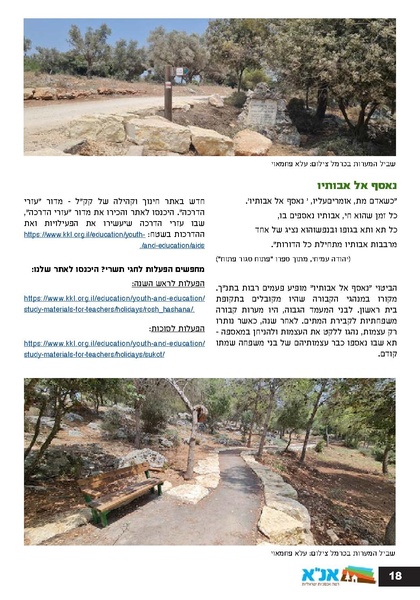 קובץ:Ale 13.pdf