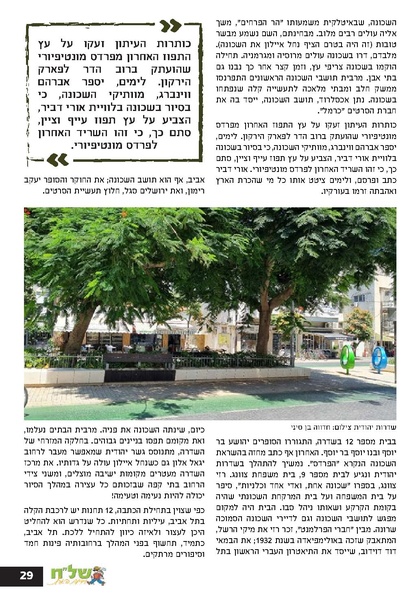 קובץ:Ale 13.pdf