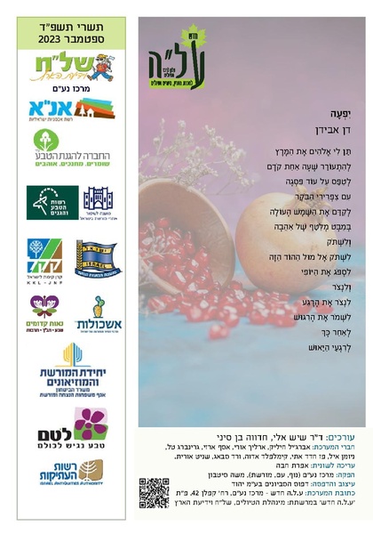 קובץ:Ale 13.pdf
