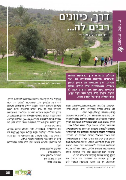 קובץ:Ale 13.pdf
